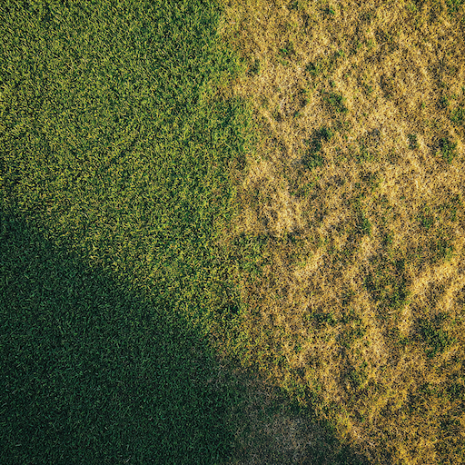 Hnojení trávníku jako zásah, ne rutina