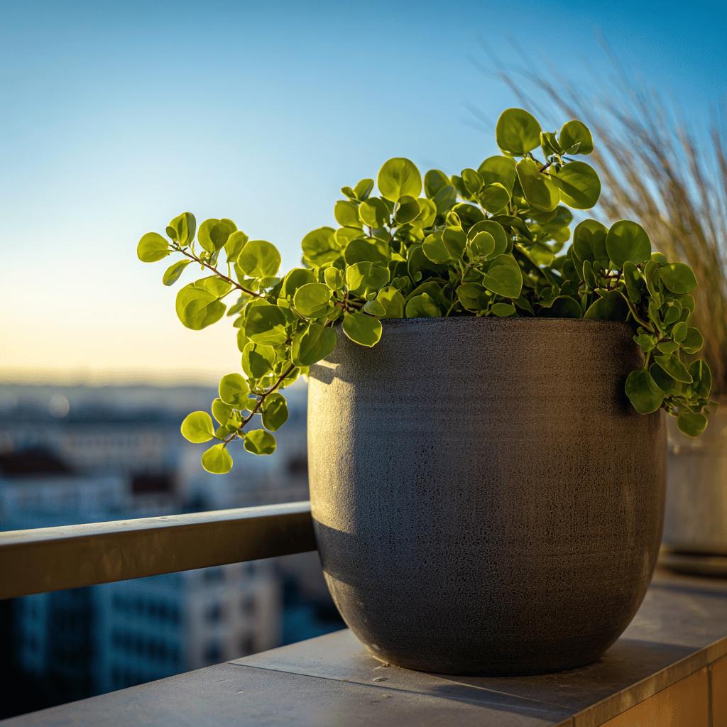 Květináče bez otvoru – rizika a jak je bezpečně používat