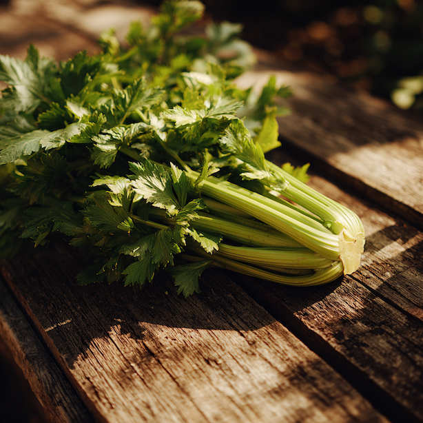 Celer řapíkatý Malachit – pěstování, výsev, výsadba a sklizeň výnosné zelené odrůdy