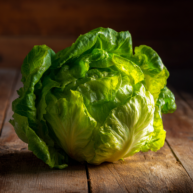 Salát celoroční ledový Kamelot – pěstování, výsev, péče a sklizeň kompaktní odrůdy s pevnými hlávkami