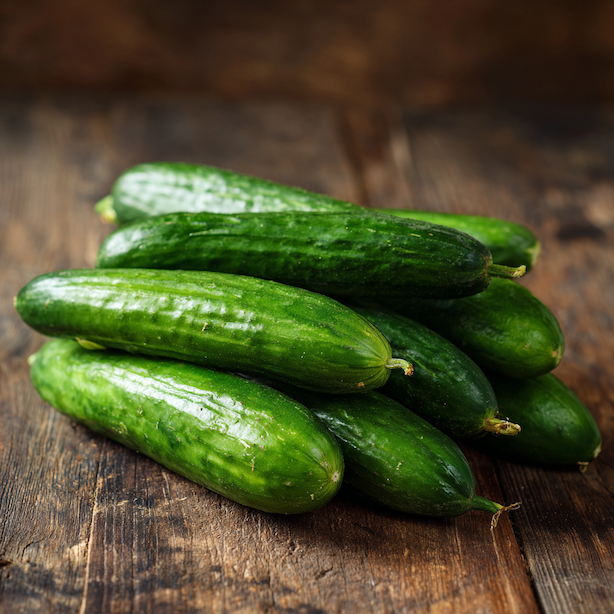 Okurka salátová Santos F1 – pěstování, výsev, péče a sklizeň rané partenokarpické hadovky