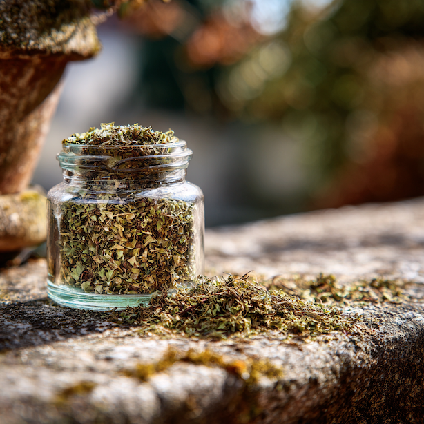 Majoránka – sklizeň, sušení a domácí využití čerstvých i sušených listů