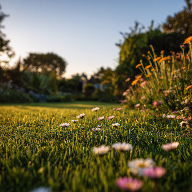Trávník jako klidová plocha zahrady – význam, funkce a prostorová rovnováha
