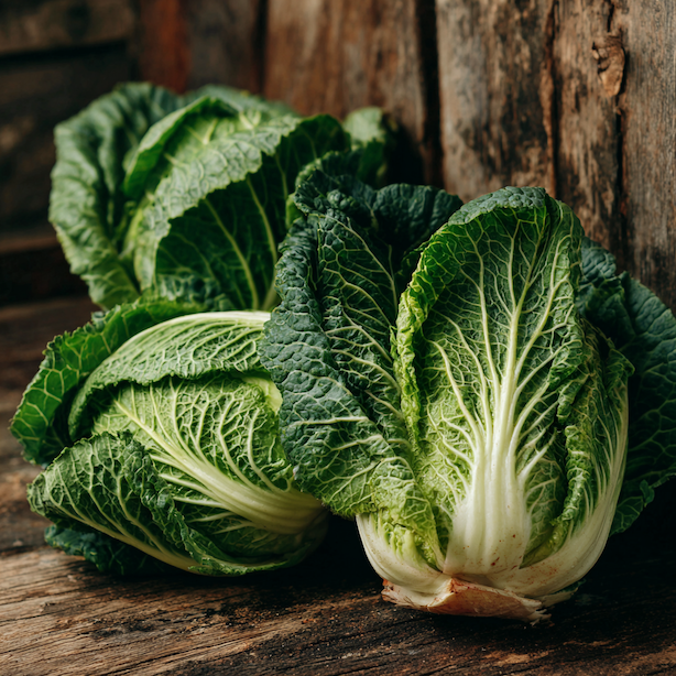 Zelí pekingské Hilton – pěstování, výsev, péče a sklizeň rychlé a spolehlivé odrůdy s pevnými hlávkami