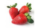 Pro jahody a drobné ovoce