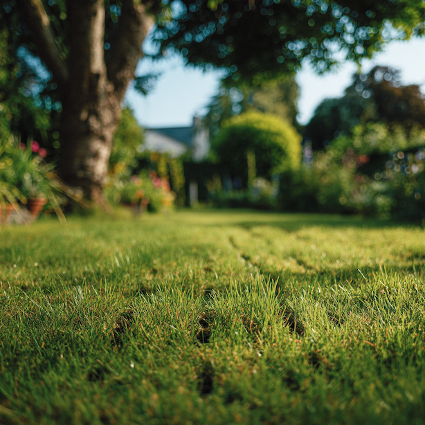 aerifikace-travniku-s-pravidelnymi-otvory-v-povrchu-pudy
