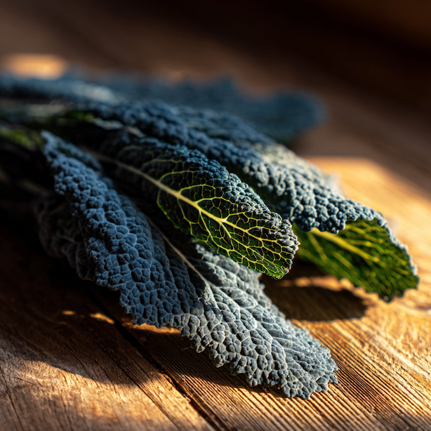 kapusta-nero-di-toscana-mrazuvzdorna-tmave-bublinata-listova-kapusta-na-drevenem-stole-ve-slunecnim-svetle