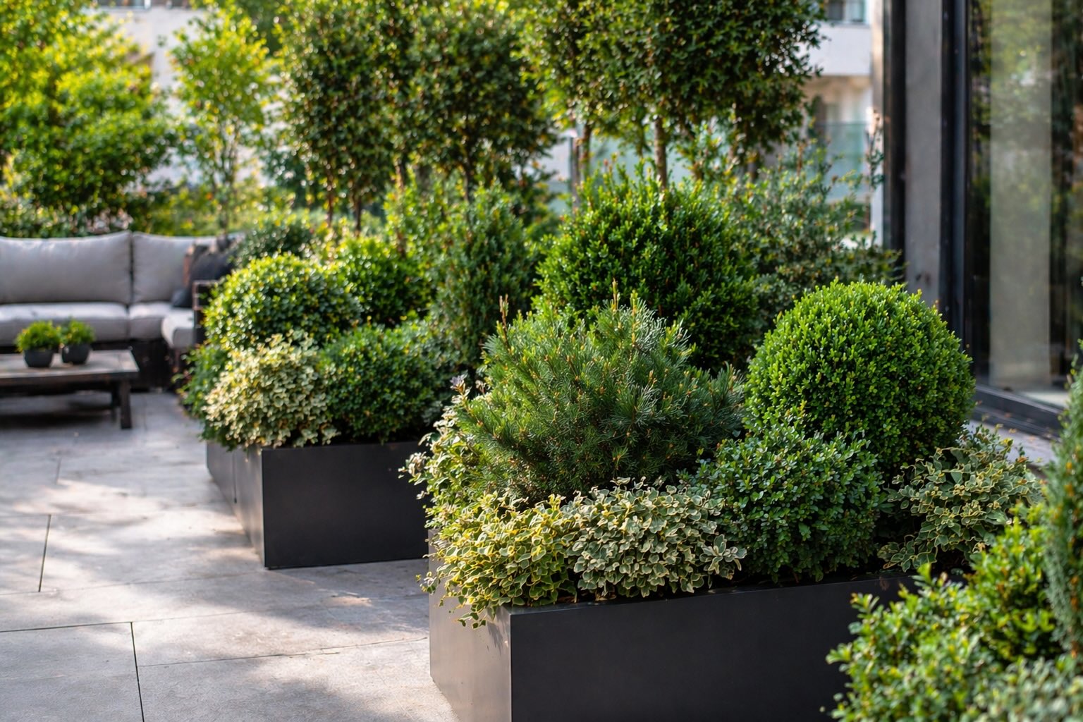 kompozice-stalezelenych-keru-v-nadobach-na-terase-strukturovana-vysadba-s-ruznými-odstiny-zelene
