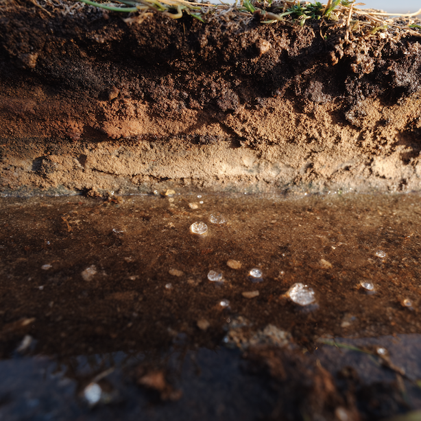 premokrena-puda-stojata-voda-a-nepropustny-pudni-profil-riziko-pro-fytophthoru