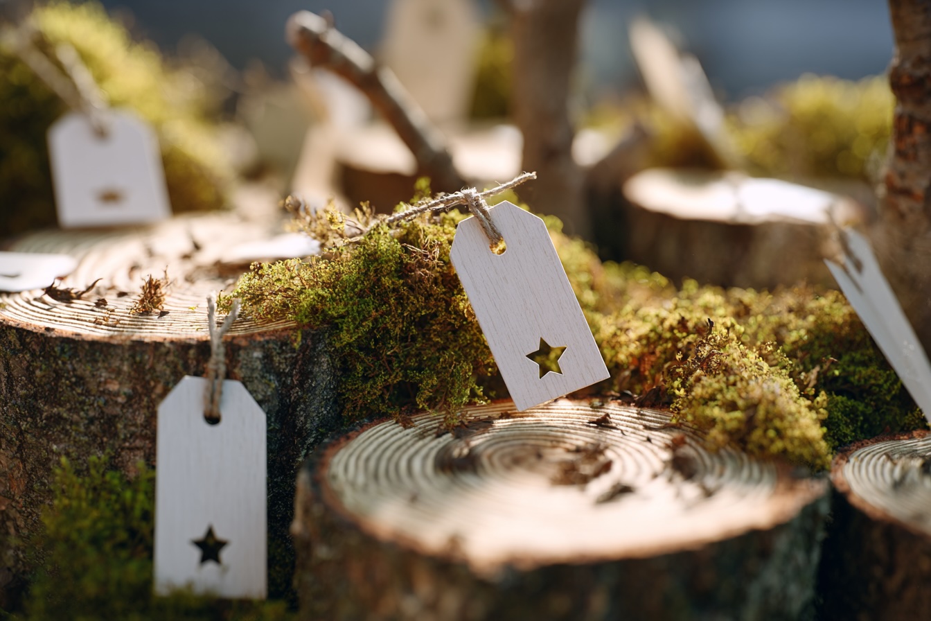 prirodni-ozdoby-papir-vetvicky-moss-minimalisticka-zimni-dekorace