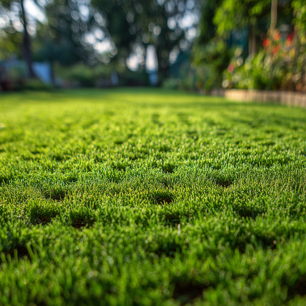 provzdusneni-travniku-s-narusenym-povrchem-pro-lepsi-pristup-vzduchu