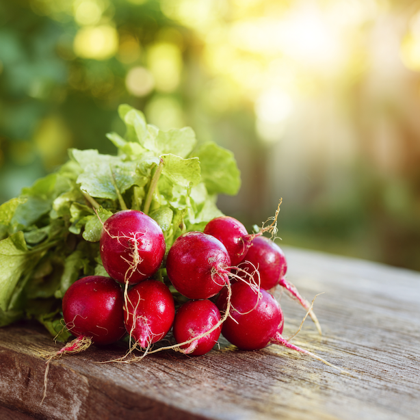 redkvicka-faraon-rana-odruda-cerstve-sklizene-cervene-bulvicky-s-nati-na-drevenem-stole-ve-slunecnim-svetle