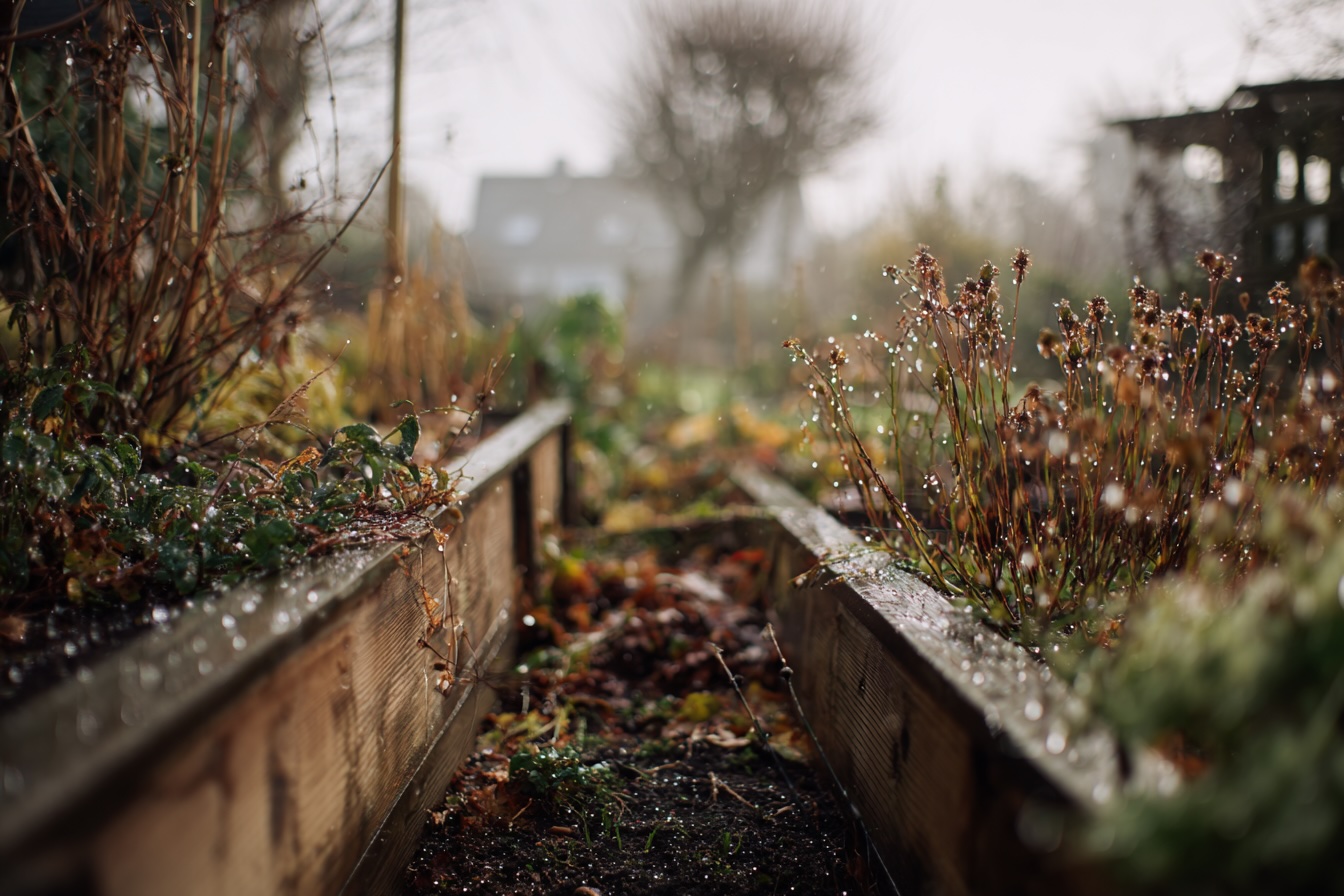 vyvysene-zahony-v-lednu-behem-oblevy-vlhka-puda-a-zbytky-rostlin