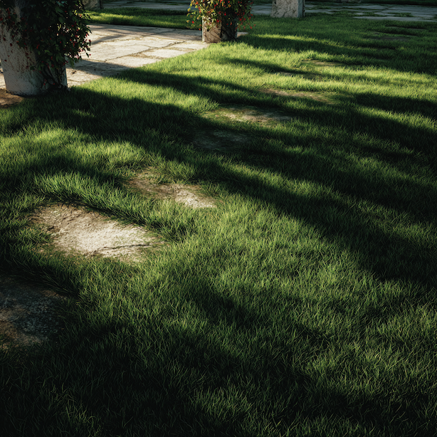 zatezovy-travnik-v-zahrade-s-opakovanym-pohybe-a-pruchody