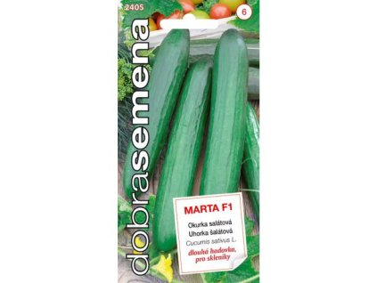 Okurka skleníková Marta F1 – krátkoplodá partenokarpická odrůda s hladkými plody, vhodná pro skleníky a chráněné záhony.