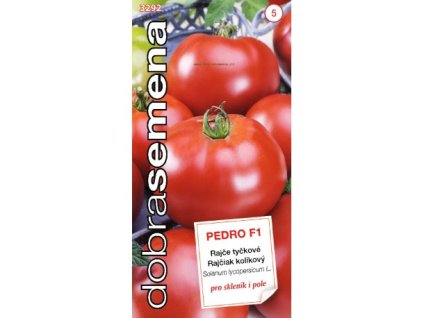 Rajče Pedro F1 – raná tyčková odrůda s velkými, pevnými a sladkými plody, vhodná pro saláty, omáčky i skladování.