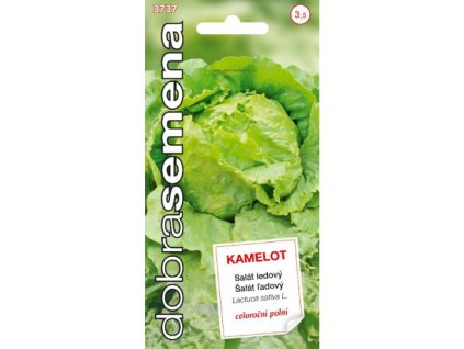 salat-ledovy-kamelot-osivo-sacek-se-semeny-pevne-krupave-hlavky