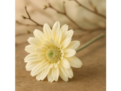 jirina-smetanove-bila-se-zlutym-nadechem-na-dlouhem-stonku-jarni-dekorace