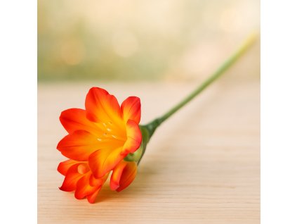 oranzovozluty-hvezdnik-na-stonku-jarni-dekorace