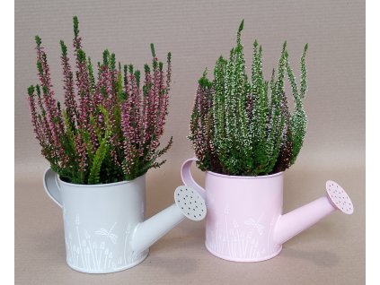 plechova-konvicka-s-motivem-vazky-mala-2-varianty