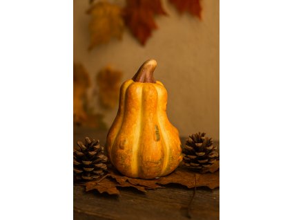 keramicka-podzimni-dyne-oranzova-se-stopkou-v-aranzma-s-listy-a-siskami