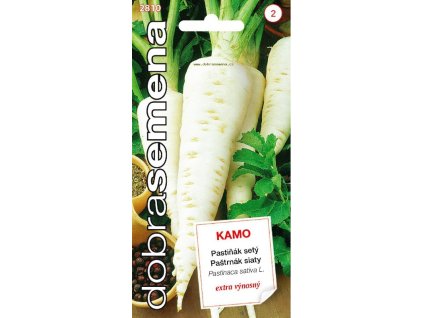 Pastiňák setý Kamo – pozdní odrůda s dlouhými, bílými kořeny a jemnou nasládlou chutí, vhodná pro polévky i skladování.