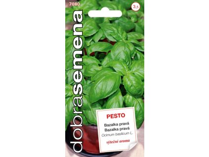 Bazalka pravá Pesto – semena aromatické bazalky vhodná k přípravě italských pokrmů a salátů.