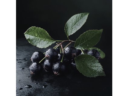 aronia-melanocarpa--autumn-magic