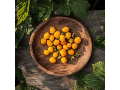 rubus-idaeus--golden-bliss-malinik-remontantni-zluty