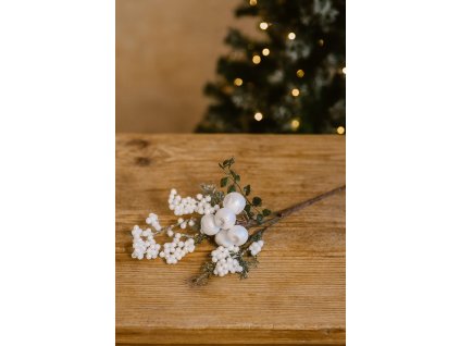 vanocni-dekorace-vetev-s-bilymi-bobulemi-a-listky-na-drevenem-stole