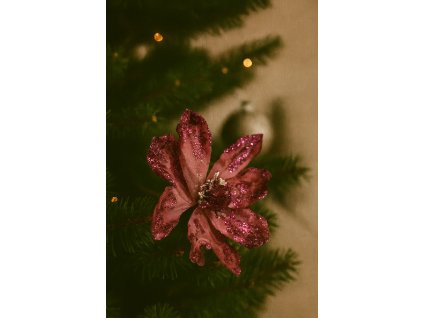 bordova-poinsettia-s-trpytkami-na-vanocnim-stromecku