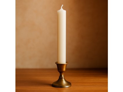 konicka-svicka-bila-25x3