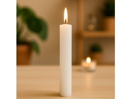 konicka-svicka-horici-na-stole