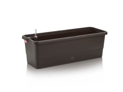 Gardenie 60 Brown