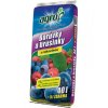 AGRO Substrát pro borůvky a brusinky 40 + 5 L ZDARMA – substrát s rašelinou, organickými látkami a přidanými živinami, ideální pro kyselomilné rostliny.