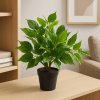 umely-philodendron-v-kvetinaci