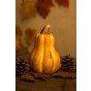 keramicka-podzimni-dyne-oranzova-se-stopkou-v-aranzma-s-listy-a-siskami