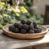 rubus--frut-thornless-evergreen