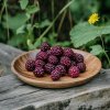 rubus-hybridus--tayberry-malinoostruzina