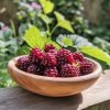 Loganberry beztrnný (Rubus ‘Thornless Loganberry’) je zajímavý ovocný keř, který vznikl křížením mezi maliníkem a ostružiníkem.