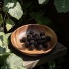 Ostružiník beztrnný (Rubus fruticosus ‘Black Satin’) je odrůda oblíbená pro své velké, lesklé černé plody s plnou, sladkokyselou chutí a také pro absence trnů