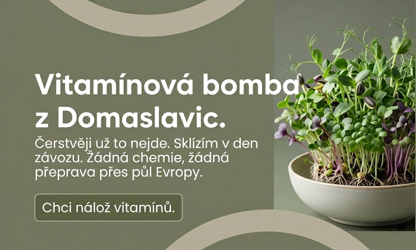 čerstvé microgreens Domaslavice