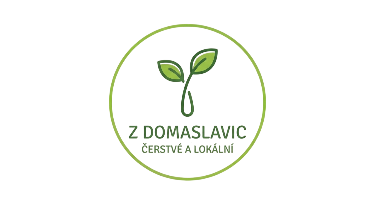 Z Domaslavic