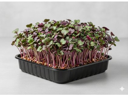 Gemini Generated Image agy8ubagy8ubagy8