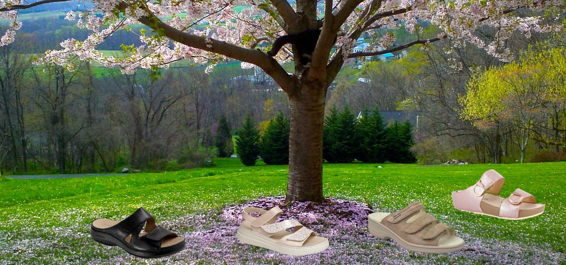 Kolekce jaro leto 2026