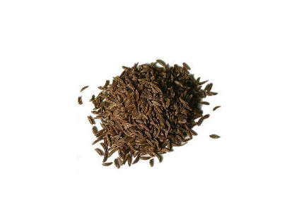 4281 variant rasca cela