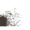 Assam Earl grey s citronovou kůrou - černý čaj aromatizovaný (váha 1000g)