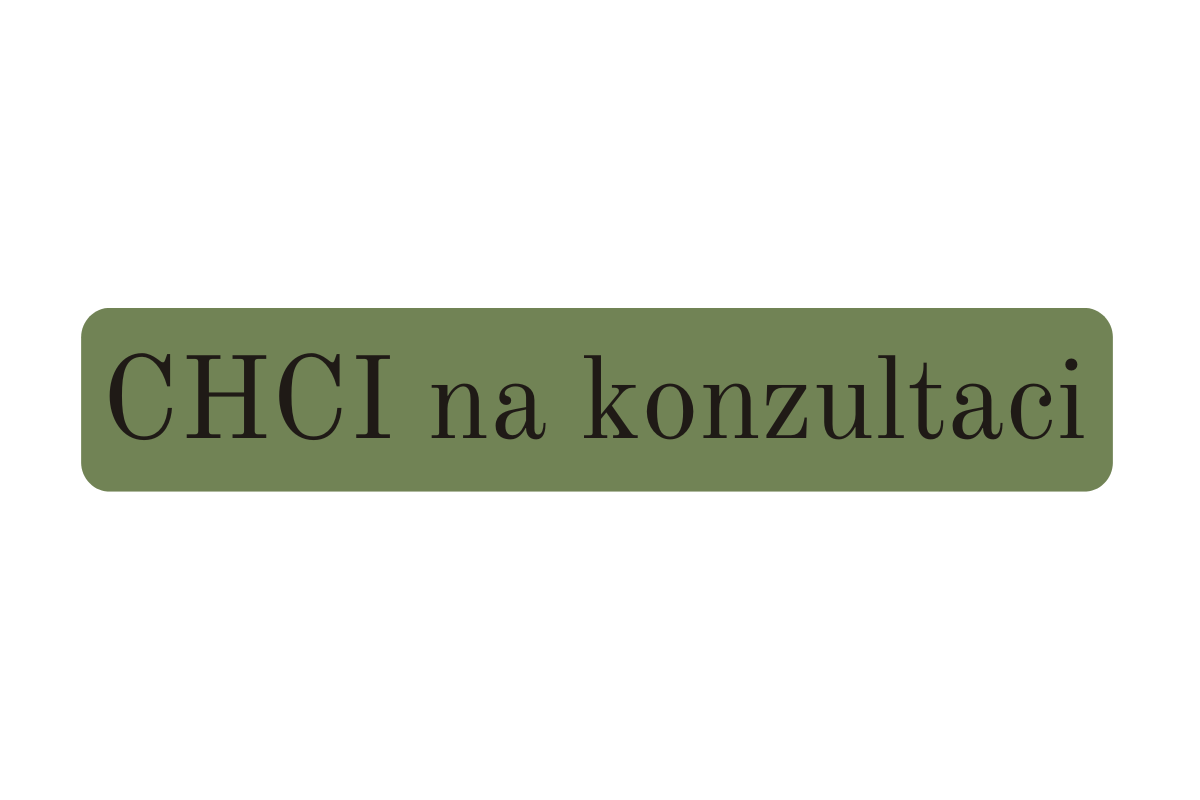 Chci na konzultaci!