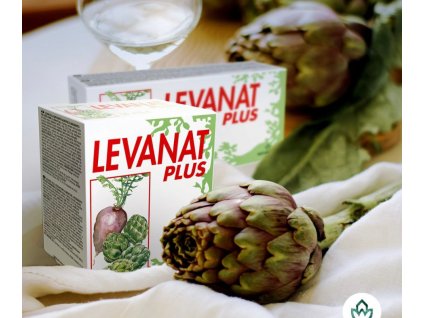 Návrh bez názvu (5)