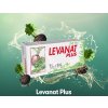 levanat amp